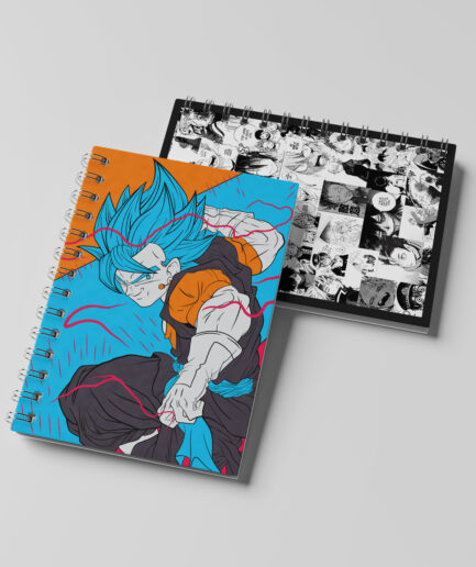 Front and back view of Dragon Ball Anime Merchandise